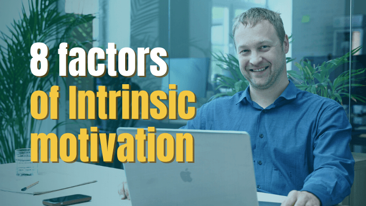 8 Factors of Intrinsic Motivation
