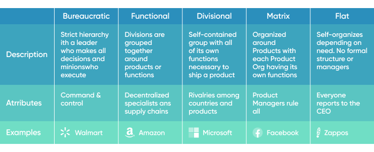 Cto Types Of Org Structures